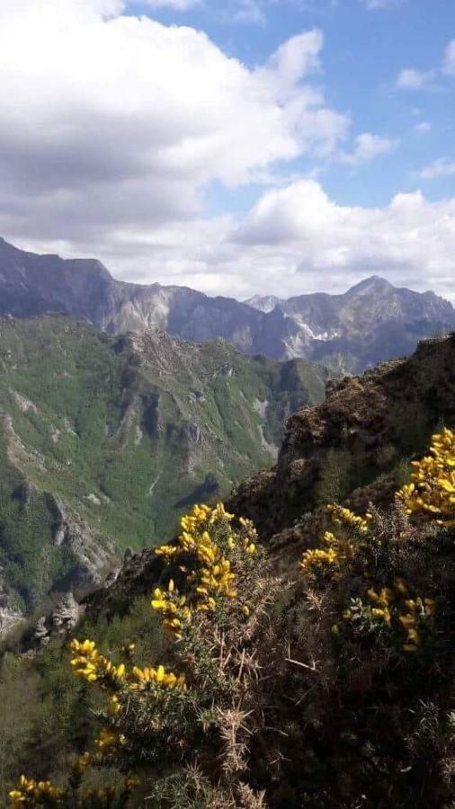L ' Canton B & B Colonnata Bagian luar foto
